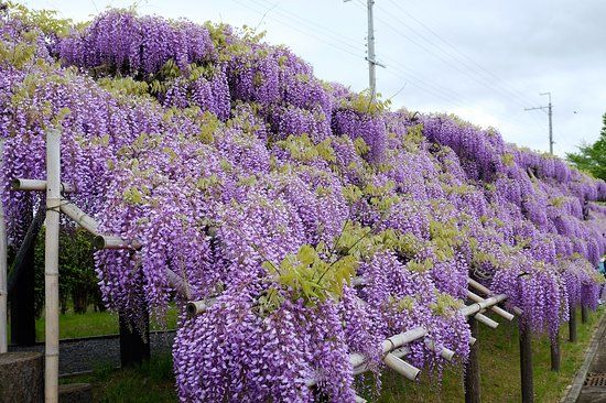 鳥羽水環境保全センター